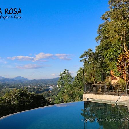 Villa Rosa Kandy Extérieur photo