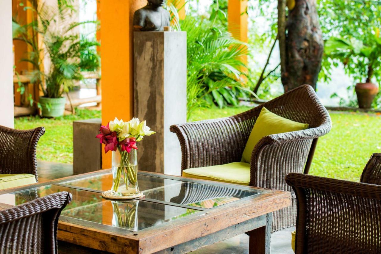 Villa Rosa Kandy Extérieur photo